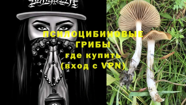 синтетический гашиш Заволжье