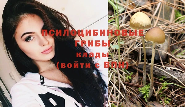 синтетический гашиш Заволжье