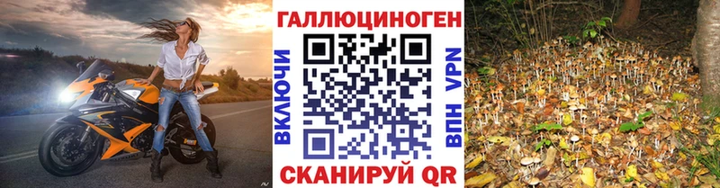 Галлюциногенные грибы прущие грибы  Купить закладки  Бабушкин 