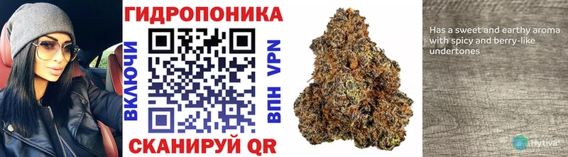 Купить где  Бабушкин  Канабис AK-47 